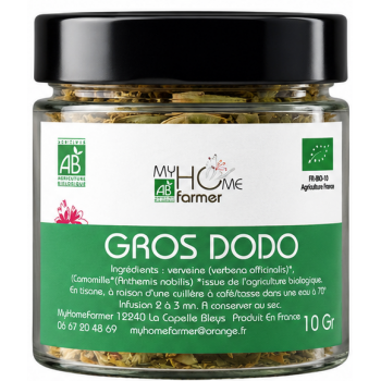 Gros dodo